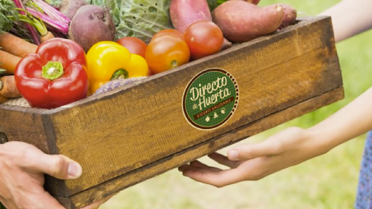 DDH - Wellness Consulting inaugura su nueva división hogar