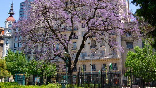 Clima perfecto: cómo viene el tiempo para el día de la primavera