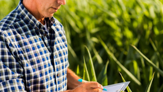 Sin confianza: la mayoría de los productores agropecuarios cree que en un año la economía argentina va estar peor que ahora