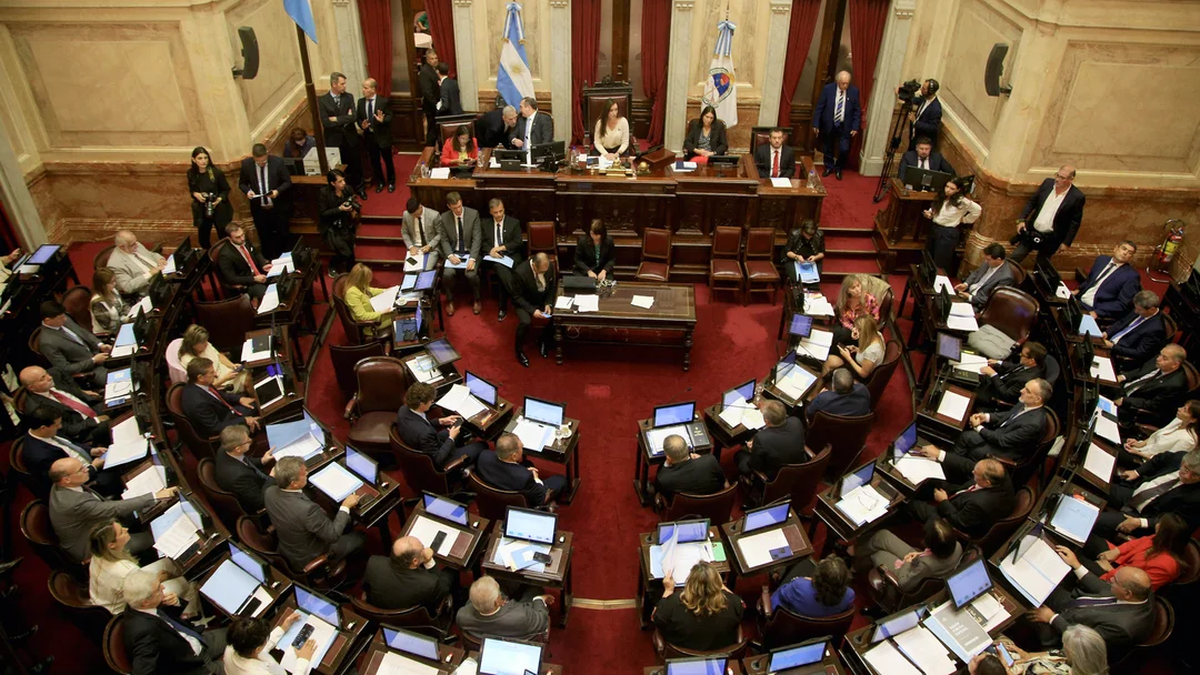 El Senado rechazó el DNU de Milei y ahora deberá volver a Diputados