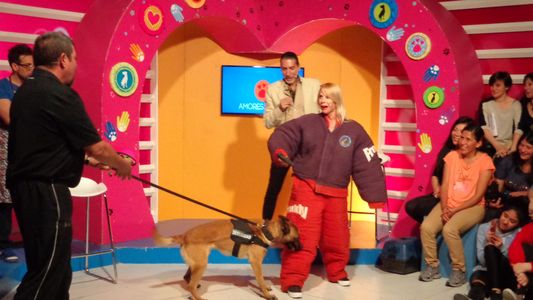 Karen Reichardt , atacada por un perro policía