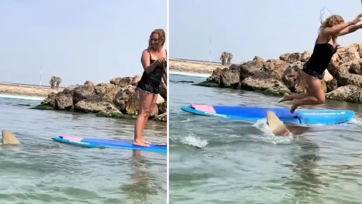 La mujer pudo salvarse del peligro pese al ataque del tiburón (Foto: TikTok @boaznamia).