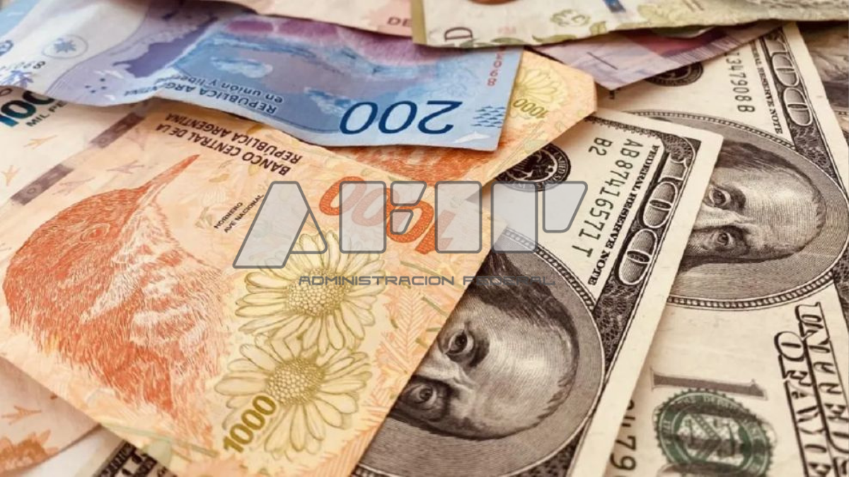 Blanqueo: suman nuevos instrumentos para invertir los dólares que entren al país