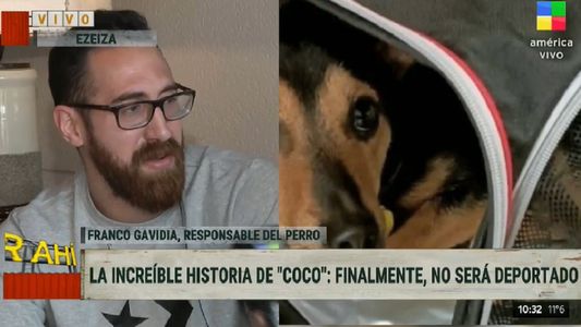 Franco habló de la lucha por su perro Coco, que quedará en cuarentena en Ezeiza