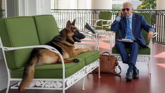 Echaron al perro de Joe Biden de la Casa Blanca