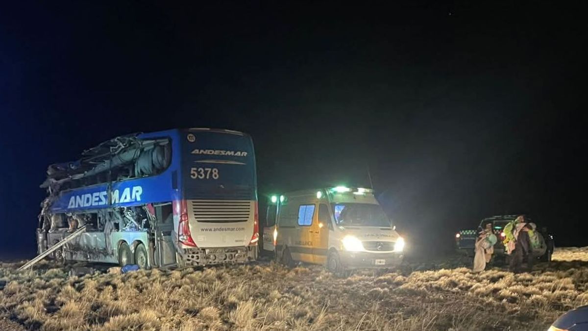Cuatro personas murieron y m&aacute;s de veinte resultaron heridas en el brutal choque entre un micro con pasajeros y un cami&oacute;n en Santa Cruz. (Foto: X)