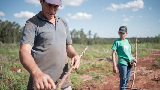 Agroecología: la historia de Nelly, la campesina que le ganó a una multinacional