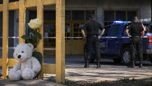 Una nena de 6 años se tropezó con los cordones en la escuela, se golpeó contra un banco y hay conmoción por el doloroso final