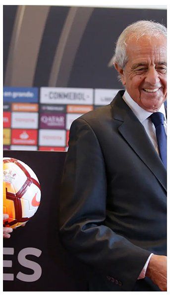 Miembro del TAS deslizó una posibilidad sobre la final de la Libertadores: El Tribunal le puede dar la Copa a Boca