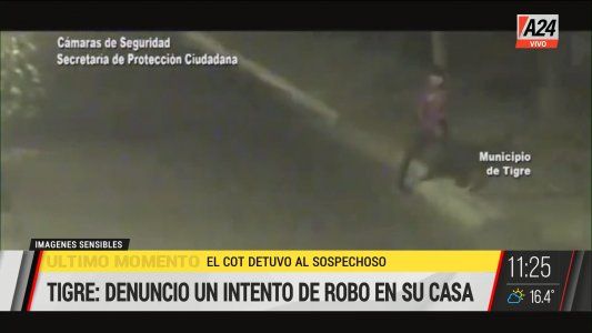 Cayó un ladrón antes de concretar el robo a una casa en Tigre