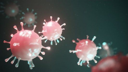 S_L452Q: ¿Cómo es la mutación del Covid-19 que ya circula por el AMBA?