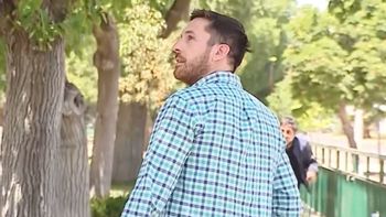 Una cotorra argentina asaltó a un periodista chileno cuando realizaba un reportaje sobre la inseguridad