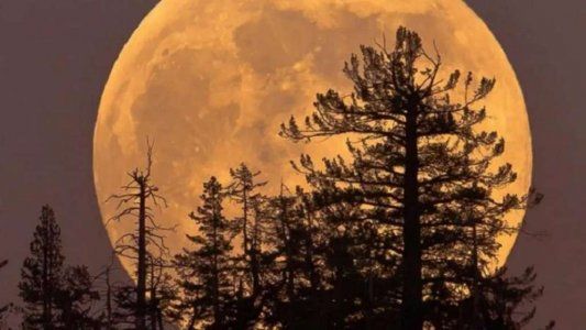 La NASA: mirá la última Superluna del año en vivo