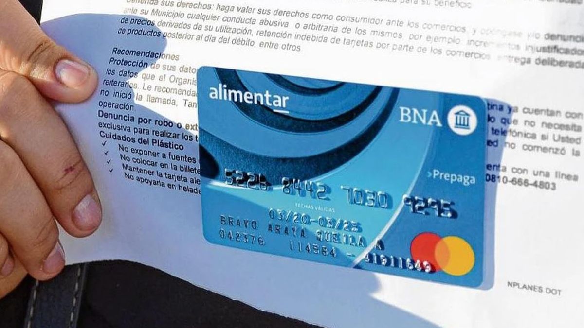 ANSES anunció AUMENTOS para ABRIL: los montos de la Tarjeta Alimentar (Foto: achivo)