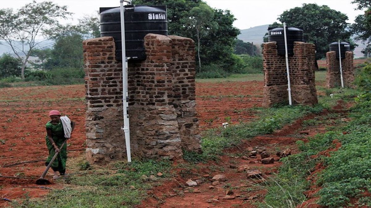 La sequía puede ser la próxima pandemia. Los pequeños propietarios indígenas Kondh construyen en los Ghats (riberas fluviales) de India columnas con tanques de almacenamiento de agua para su conservación y manejo, a través del programa de empleo rural. El agua proveniente de un estanque se bombea a estos tanques para el posterior riego por goteo, en lugar de bombear un flujo excesivo y derrochar el recurso. (Foto: Manipadma Jena/ IPS)