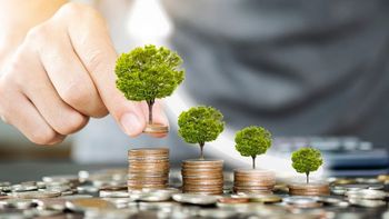 Criptomonedas: ¿Se pueden utilizar en favor de la naturaleza?