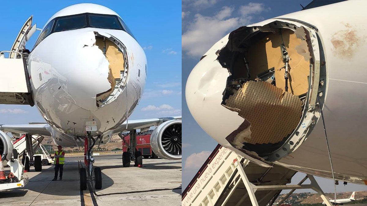 El impacto del avión contra un buitre provocó que la mitad del morro se destruyera y quedara el radar al descubierto. (Foto: Gentileza El independiente)
