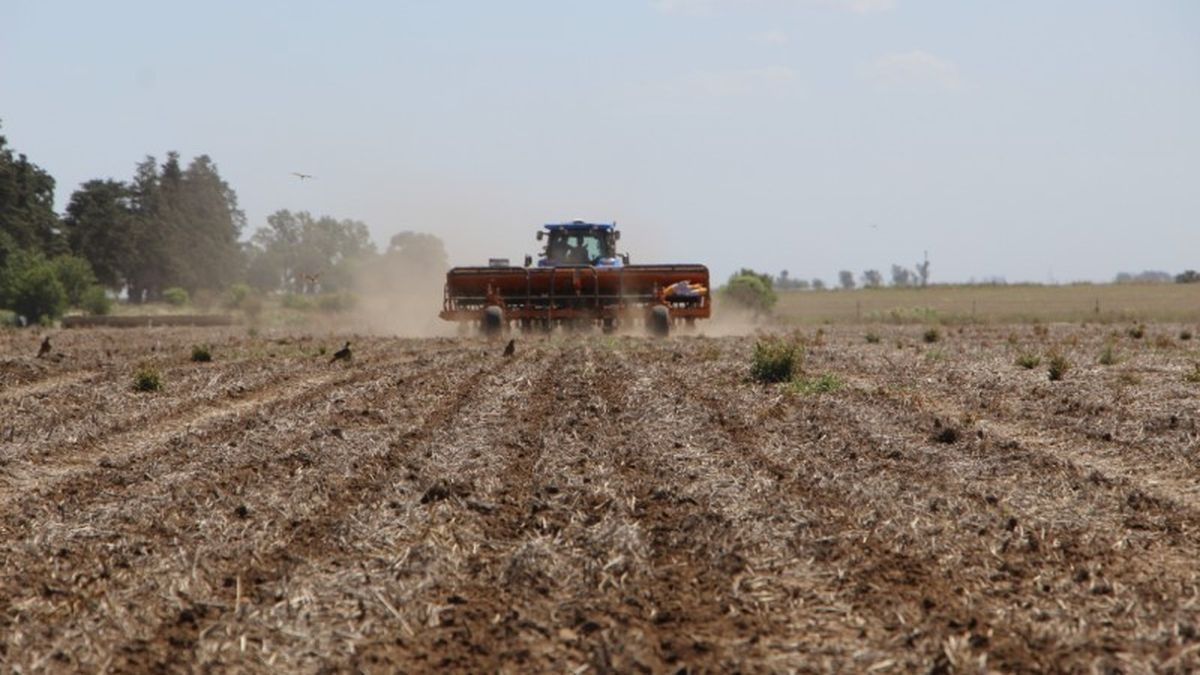 El campo sufrió el impacto de la sequía.