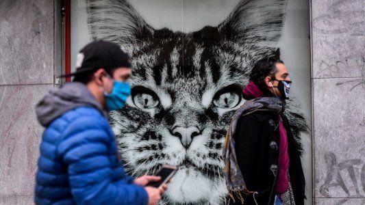 Pico de contagios: se confirmaron 2.979 nuevos casos de coronavirus y 62 muertes en 24 horas