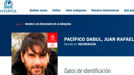 Interpol liberó la alerta roja para detener a Juan Darthés