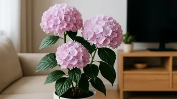 Feng Shui: cuál es la planta que conviene evitar dentro de casa