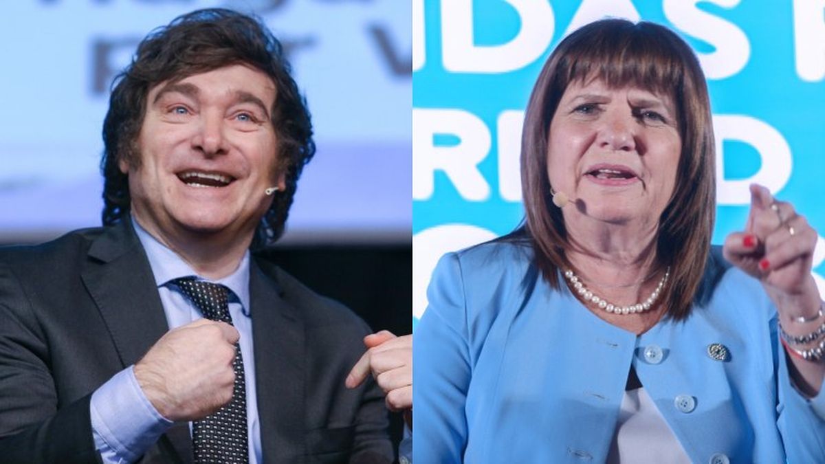 Patricia Bullrich afirmó que se perdonaron con Javier Milei tras las fuertes acusaciones durante la campaña electoral (Foto: NA).