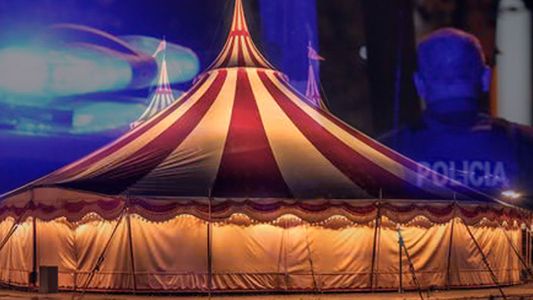 Fue al circo, la sacaron a bailar y la manosearon frente a todos: el video