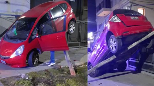 Video: una mujer y su perro se salvaron de milagro en un insólito episodio de inseguridad vial