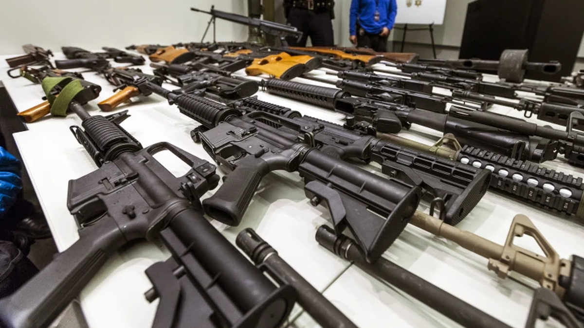 El Gobierno habilitó un nuevo régimen para la adquisición y tenencia de armas semiautomáticas (Foto: archivo).