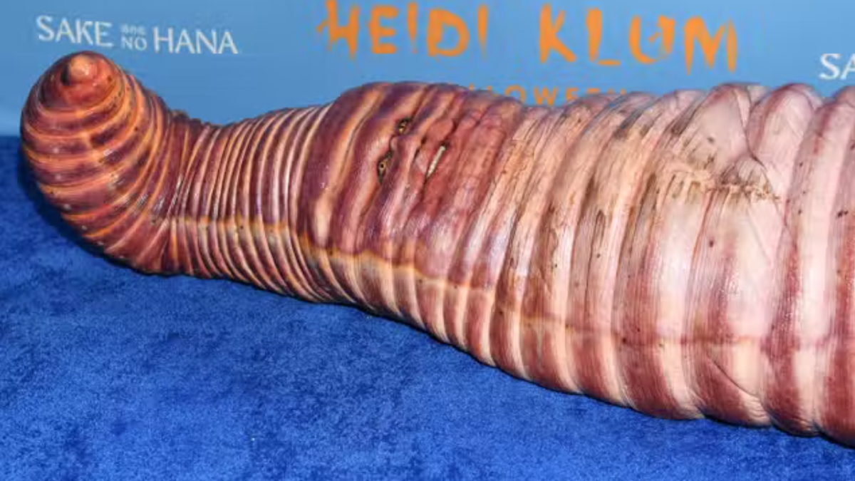 La modelo se tiró al piso para lucir como un verdadero gusano (Foto: Getty Images).