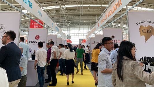 China: avanza el plan para que el Malbec argentino tenga arancel cero