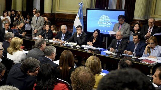 Segundo round: arranca el debate por el aborto en el Senado