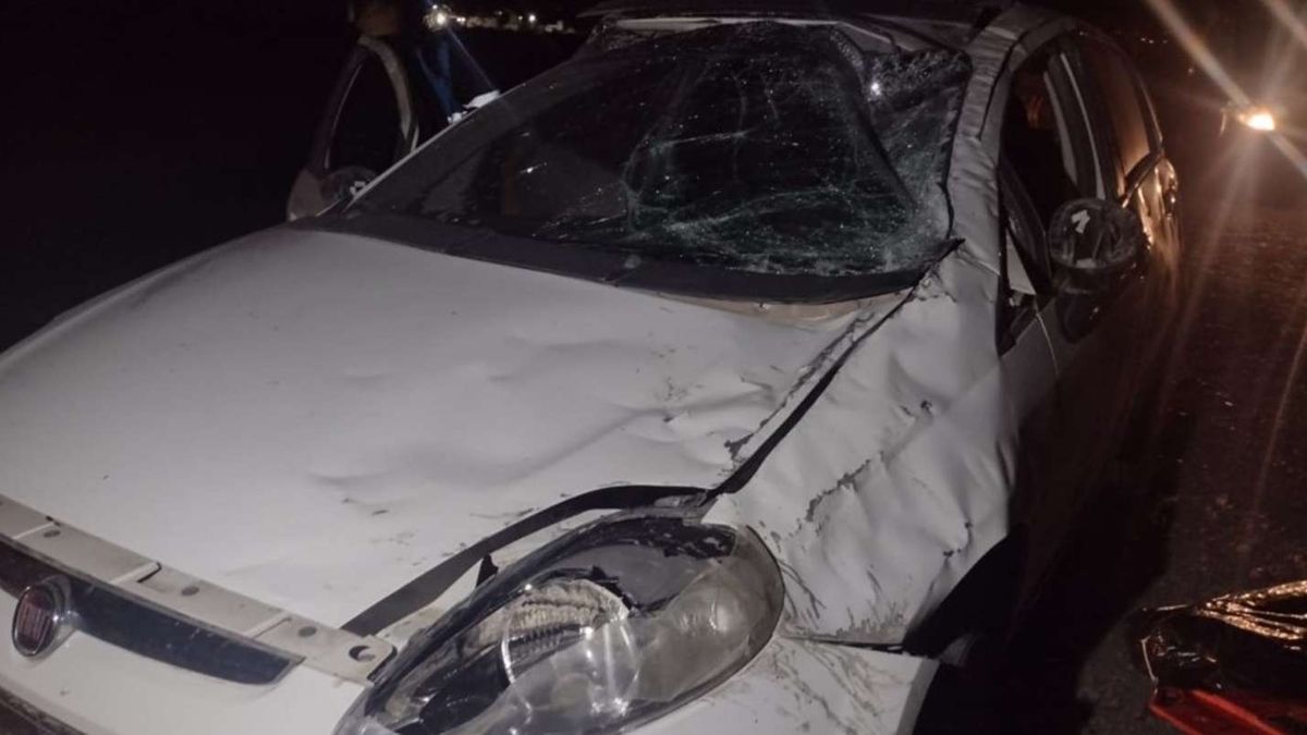 El Fiat Punto donde se trasladaba el joven luego del accidente