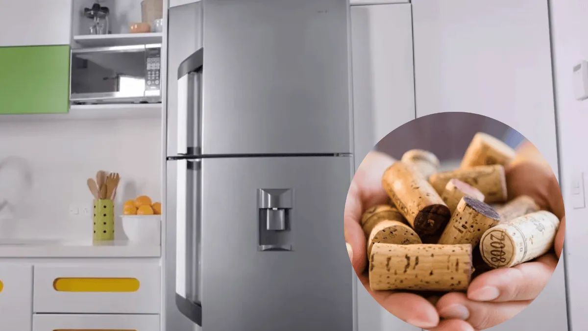 Eficiencia energética: cómo un corcho de vino puede reducir tu factura de luz.