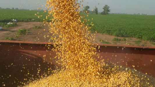 Esperando los dólares: Alberto Fernández admitió que “hasta aquí no ha servido” bajar las retenciones a la soja