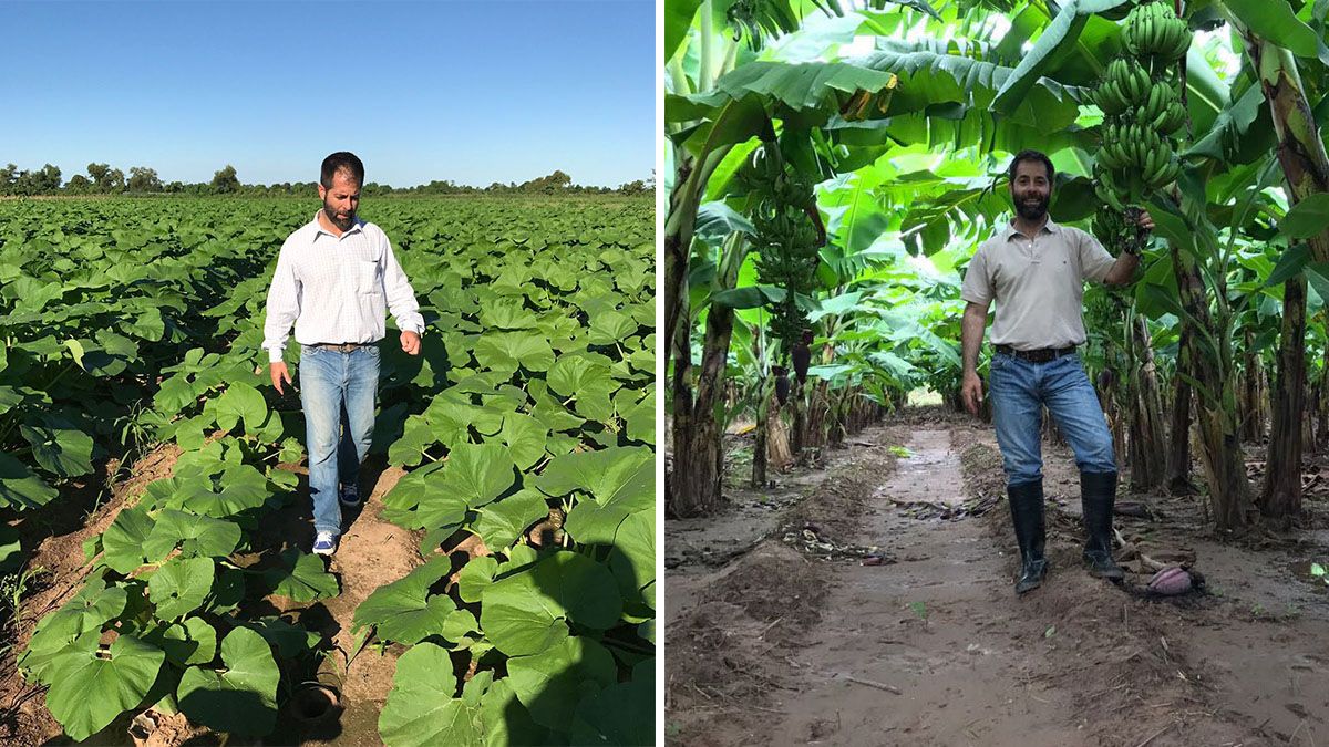 Ortíz en su campo de Colonia Santa Rosa: allí apuesta por la producción de bananas y hortalizas. 