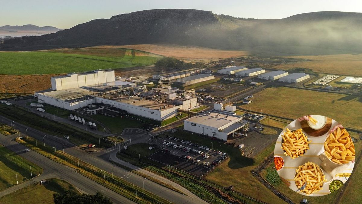 Así opera el gigante de las papas congeladas que lidera el mercado y anunció una inversión de US$100 millones.