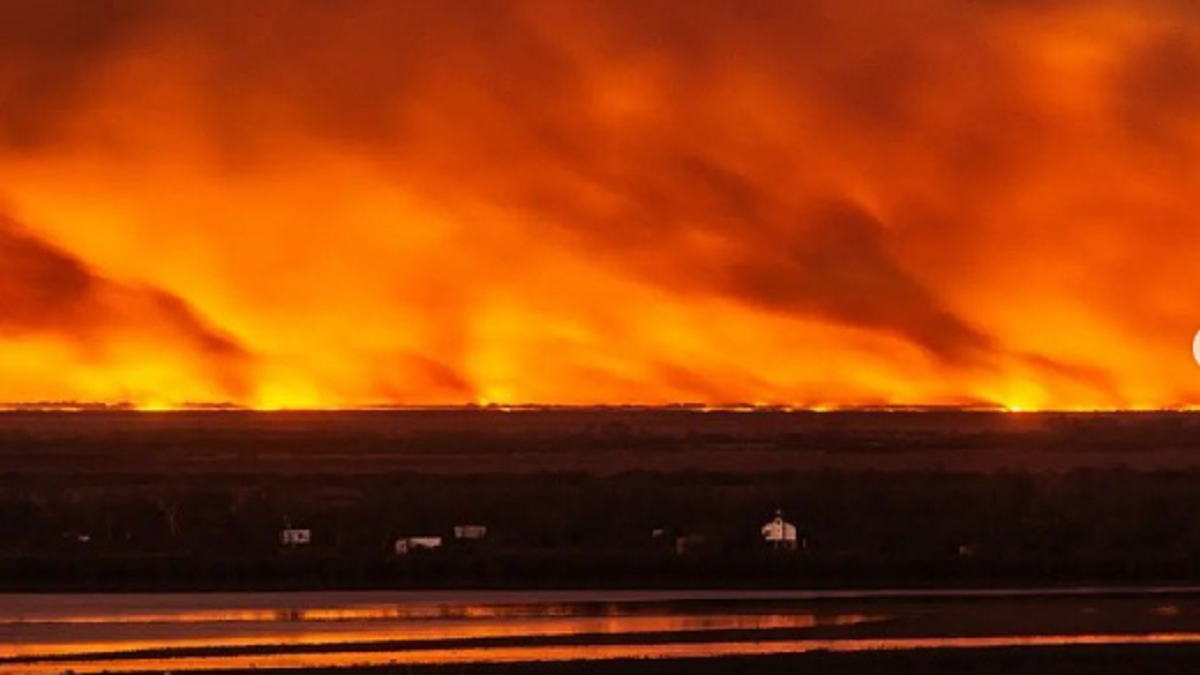 Los incendios forestales en las islas del Delta del r&iacute;o Paran&aacute;. (Gentileza @rosarioarg_)