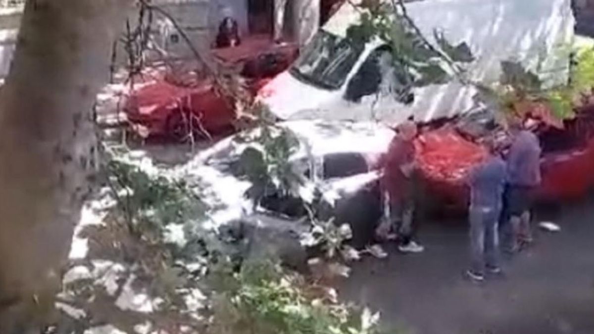 Un ex juez de La Plata chocó y terminó a las piñas en una violenta pelea de tránsito. (Foto: captura del video)