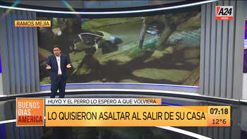 Así le intentaron robar cuando paseaba al perro en Ramos Mejía. (Captura de Tv) Así le intentaron robar cuando paseaba al perro en Ramos Mejía. (Captura de Tv)