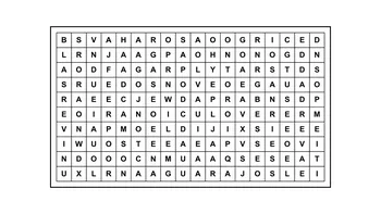 Encontrá la frase escondida: una sopa de letras con 12 palabras para descubrir