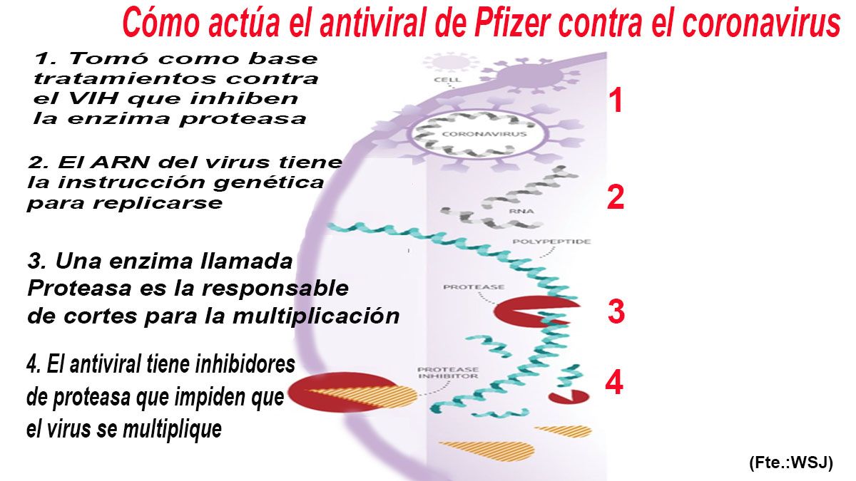 El laboratorio Pfizer espera también que la FDA apruebe su antiviral (Foto: Pfizer)