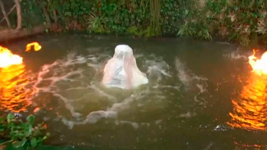 ¡Susto en el programa de Guido! Una participante quedó atrapada en el agua por su vestido