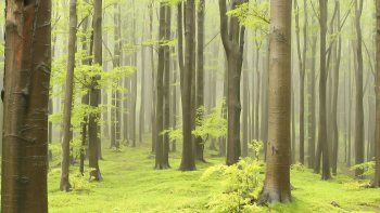Cumbre del Clima: La capacidad de  nuestros políticos para impulsar el cambio real y necesario es muy limitada