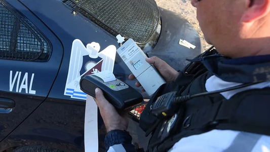 Con 2,45 de alcohol en sangre, atropelló a dos nenes y protagonizó una tragedia