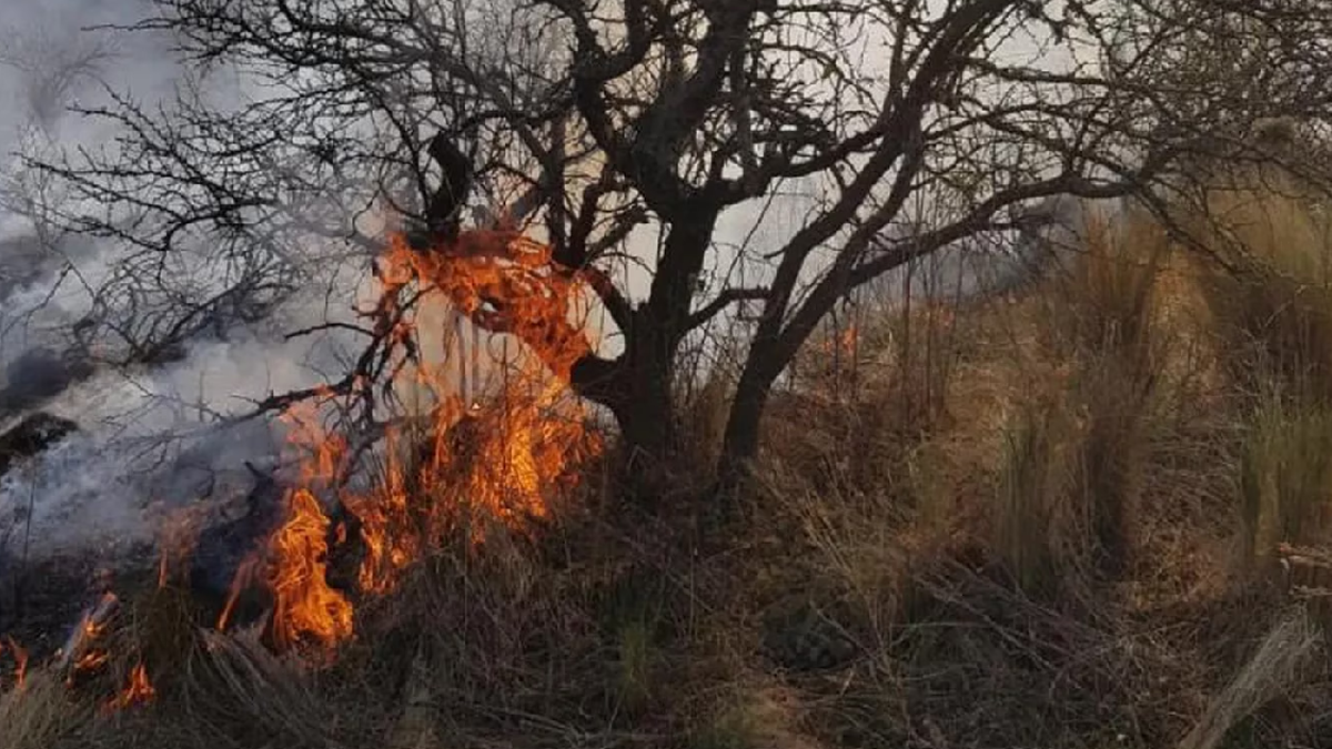 Se agravan los incendios en C&oacute;rdoba y hay una alerta por riesgo extremo. (Foto: TN)