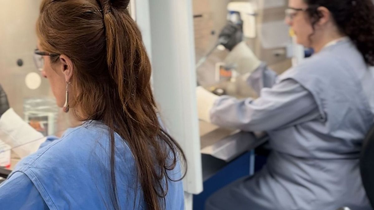 El objetivo es reducir la duración de un tratamiento que hoy puede extenderse durante meses y cuyo abandono favorece la aparición de cepas resistentes. (Foto: Prensa UBA)