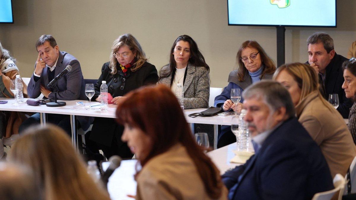 En medio de la expectativa por un fallo de la Corte, Cristina reune a los senadores peronistas en la sede del PJ