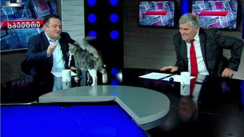 Un gato irrumpió en una entrevista de televisión e hizo reir al conductor y su invitado