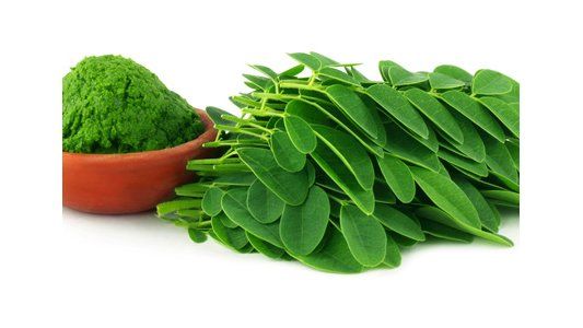 ¿Cómo consumir la moringa?